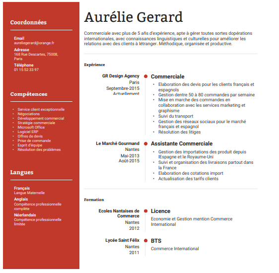 french-resume-how-to-write-your-french-cv-examples