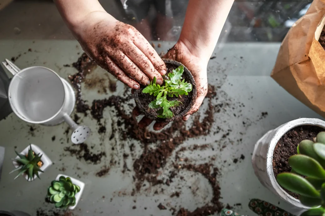 Without hard work, nothing grows but weeds.- Gordon B. Hinckley