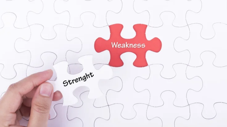 A person holding a puzzle piece with the word wellness on it.