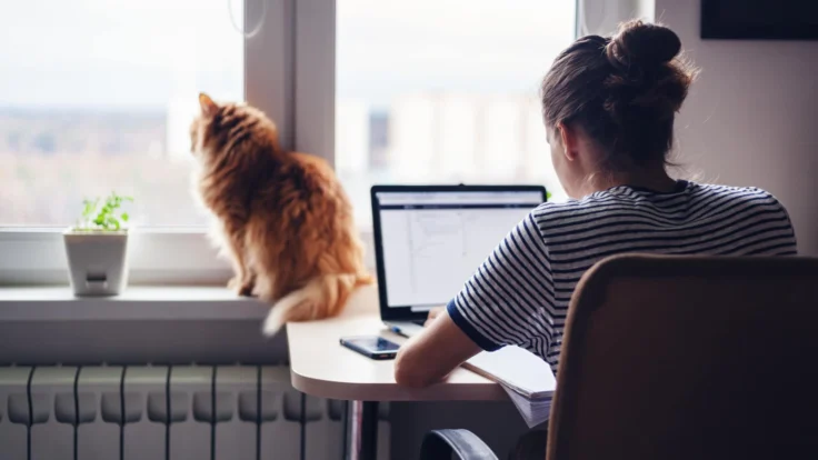A woman sitting at a desk with a cat looking out the window.