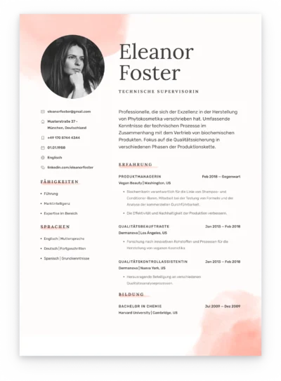 german cv example